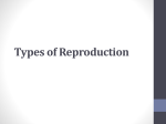 Types of Reproduction PowerPoint