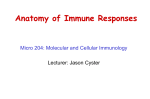 Powerpoint - UCSF Immunology Program