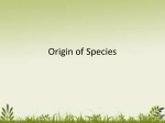 7th grade Origin of Species PPT 6 Origin of Species PP 2016