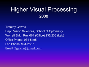 Visual System - UAB School of Optometry