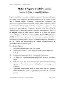 Module 4: Negative strand RNA viruses