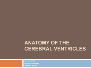 Anatomy of the Cerebral Ventricles