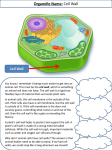 Organelle Name: Cell Wall - Fall River Public Schools