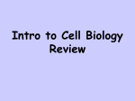 Intro to Biology review - Brookings School District