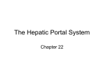 The Hepatic Portal System