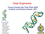 Gene Expression (PowerPoint) Northwest 2012