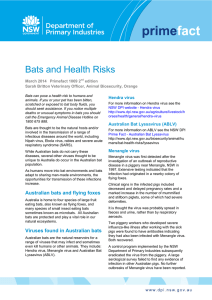 Bats And Health Risks - NSW Department of Primary Industries