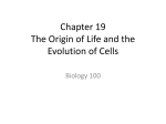 Chapter 19 The Origin of Life and the Evolution of Cells