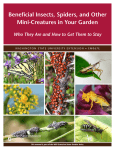 Beneficial Insects, Spiders, Creatures in the Garden