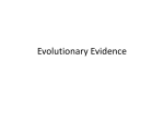 Evolutionary Evidence