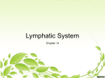 Ms. S Lymphatic Notes File
