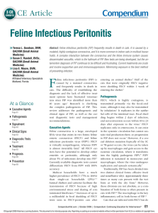 Feline Infectious Peritonitis
