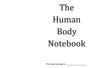 The Human Body Notebook
