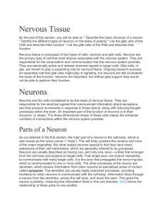 Nervous tissue is composed of two types of cells, neurons and glial