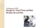SquirrelsVancouver