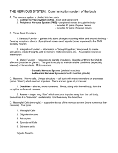 THE NERVOUS SYSTEM: Communication