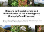 Origin and diversification of the austral genus Dracophyllum