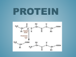 Unit 5 Proteins PPT