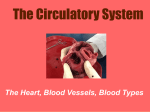 closed circulatory system