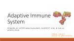Adaptive Immune System