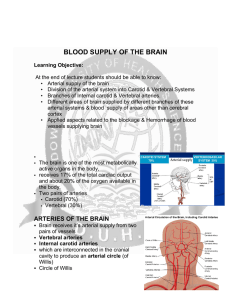 BLOOD SUPPLY OF THE BRAIN