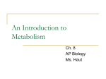 ch. 8 An Introduction to Metabolism