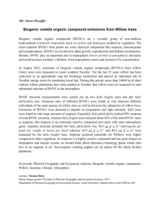 Biogenic volatile organic compound emissions from Willow trees