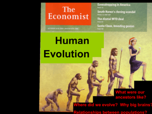 Human Evolution