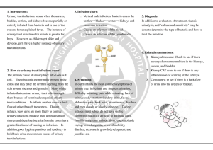 1. Introduction: Urinary tract infections occur when the ureters