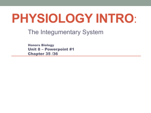 Integumentary