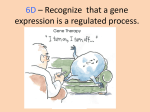 6D * Recognize that a gene expression is a regulated process.