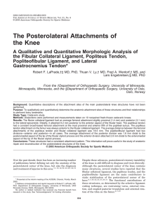 The Posterolateral Attachments of the Knee