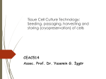 Basics of Cell Culture