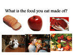 What is the food you eat made of?