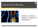 NURS 541 - UTIs