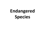 Endangered Species - British Council Schools Online