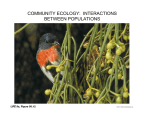 COMMUNITY ECOLOGY: INTERACTIONS BETWEEN POPULATIONS