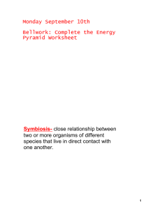 Monday September 10th Bellwork: Complete the Energy Pyramid