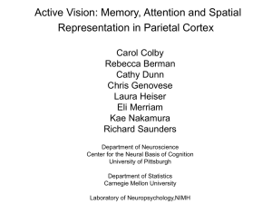 T2 - Center for Neural Basis of Cognition