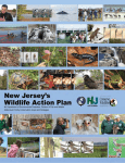 NJ Wildlife Action Plan