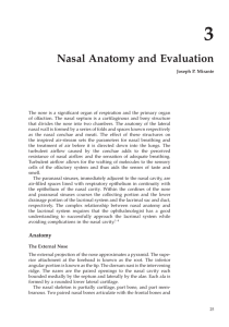 Nasal Anatomy and Evaluation