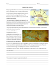 Ancient Empires Worksheets