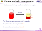 blood cells - School