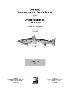 Atlantic Salmon (Salmo salar) - Registre public des espèces en péril