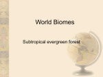 World Biomes - Tartu Veeriku Kool