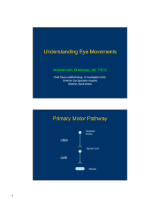 Understanding Eye Movements Primary Motor Pathway