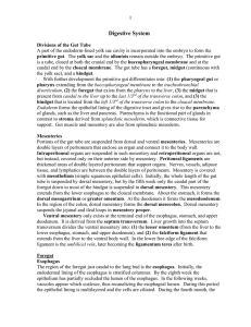 EMBRYOLOGY