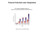 Natural Selection and Adaptation