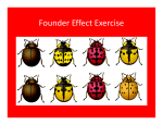 Founder Effect Exercise