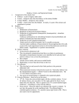 Renal05-KidneysUretersSuprarenalGlands